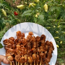 Sate Jamur